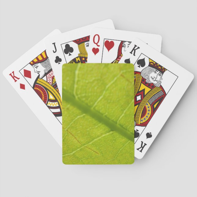 Jeu De Cartes Photographie de la nature botanique de la feuille  (dos)