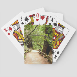 Jeu De Cartes Photographie de la nature du chemin de Muir Woods 
