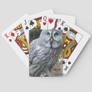 Jeu De Cartes Photographie de portrait de hibou