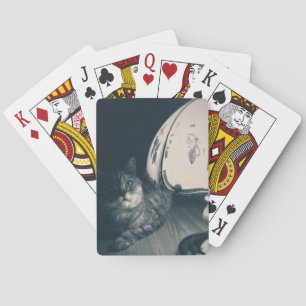 Jeu De Cartes Photographie de style noir de chats et lampes