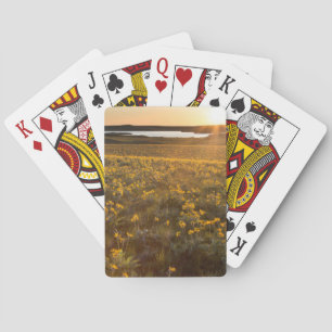 Jeu De Cartes Pied de flèche Balsamroot Fleurs sauvages