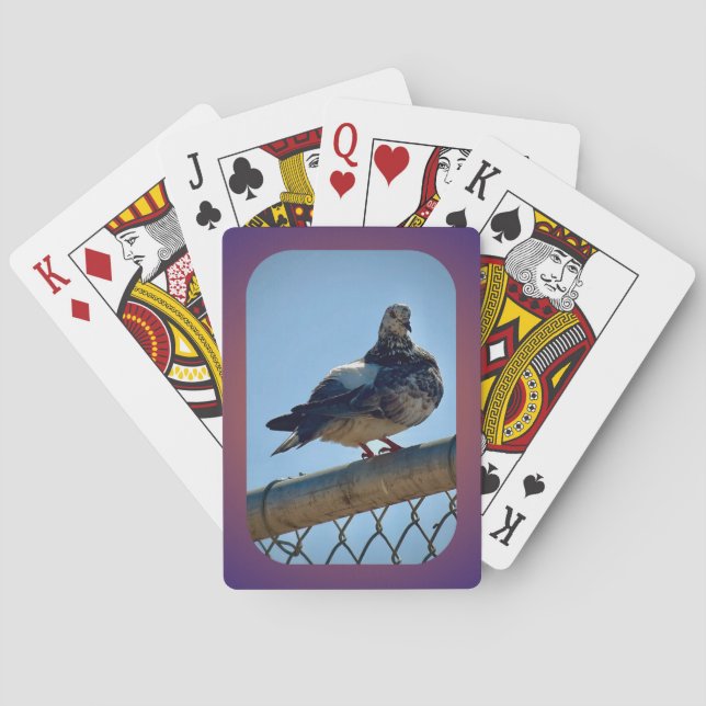 Jeu De Cartes Pigeon (dos)