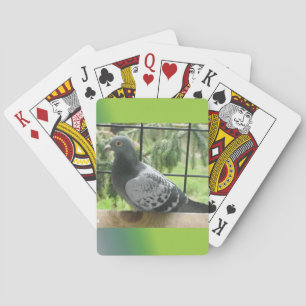 Jeu De Cartes Pigeon
