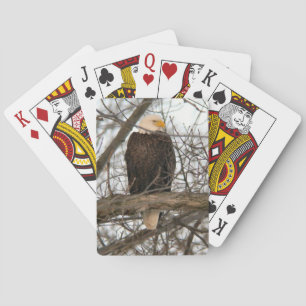 Jeu De Cartes Pinery de l'aigle à tête blanche