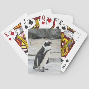 Jeu De Cartes Pingouin noir et blanc sur les rochers