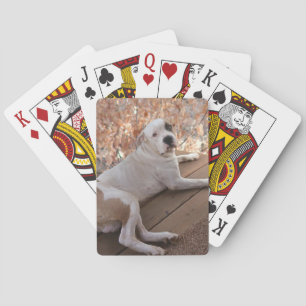 Jeu De Cartes Pitbull Porch Chien Jouer aux cartes