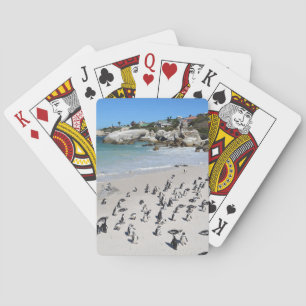 Jeu De Cartes Plage Afrique du Sud de rochers de pingouins