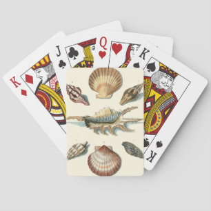 Jeu De Cartes Plage de Shell soignée