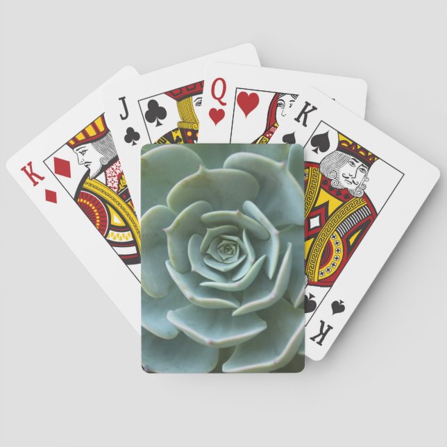 Jeu De Cartes Plante succulent (dos)