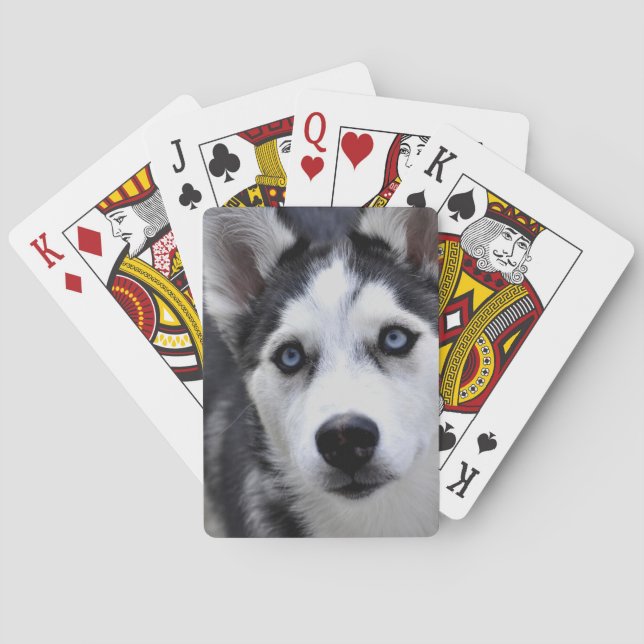 Jeu De Cartes Plaque de marionnettes Husky (dos)