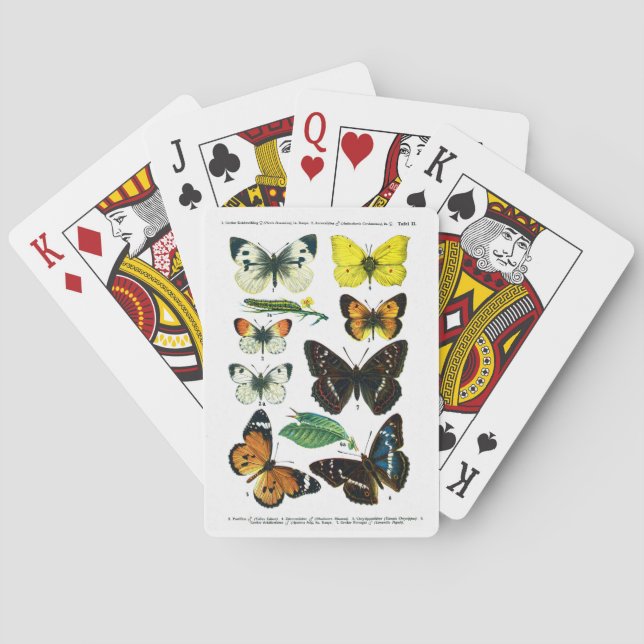 Jeu De Cartes Plaque papillon européenne II (dos)