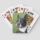 plate-forme des cartes de jeu, avec le terrier de