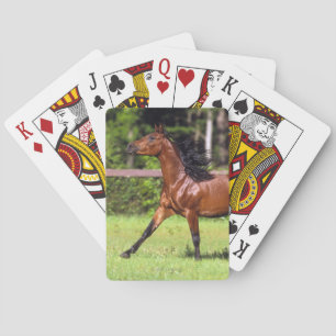 Jeu De Cartes Plate-forme du Headshot 3 de golden retriever de C