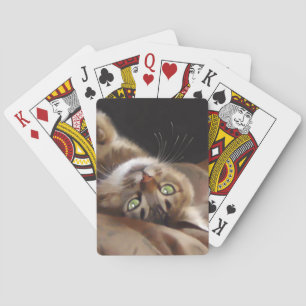 Jeu de cartes Playful Kitty