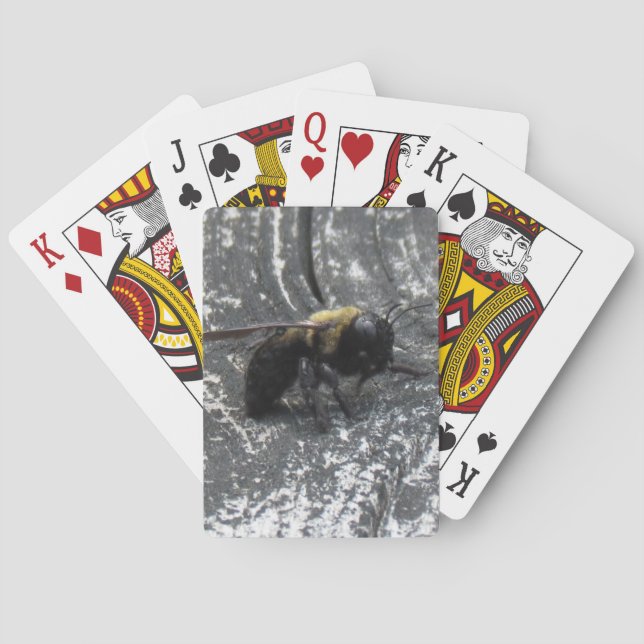 Jeu De Cartes Pludrops (dos)