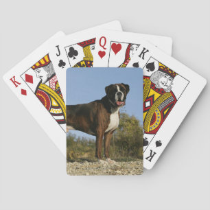 Jeu De Cartes Poignée Boxer Show Stance