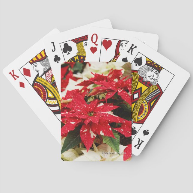 Jeu De Cartes Poinsettias Festive Rouge Blanc Floral (dos)