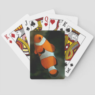 Jeu De Cartes Poisson clown