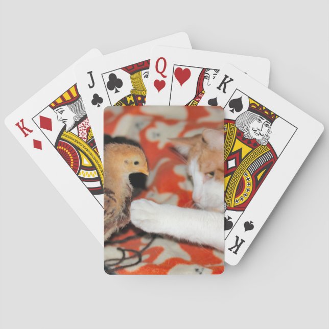 Jeu De Cartes Poke (dos)