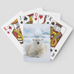 Jeu De Cartes Polaires adultes concernent la banquise d'été