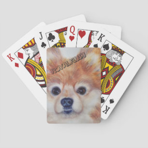 JEU DE CARTES POMERANIAN D'OR MIGNON