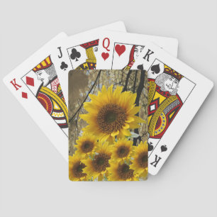 Jeu De Cartes Pont de cartes de tournesol