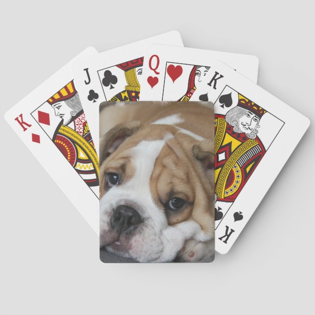 Jeu De Cartes Pont de cartes pour chien de garde (dos)