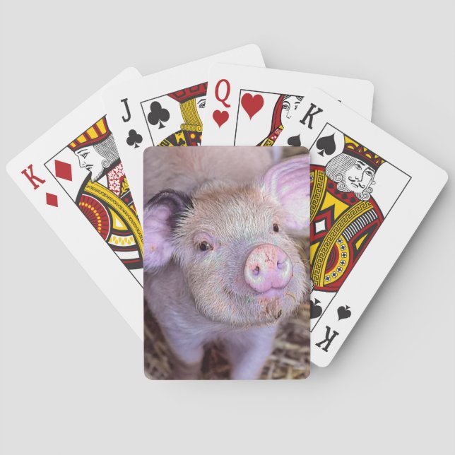 Jeu De Cartes Porc (dos)