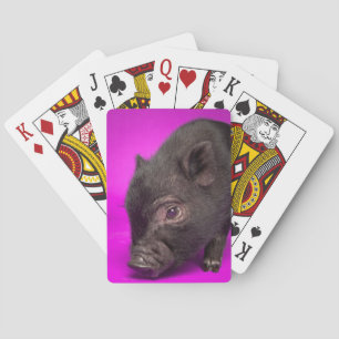 Jeu De Cartes Porc noir de bébé