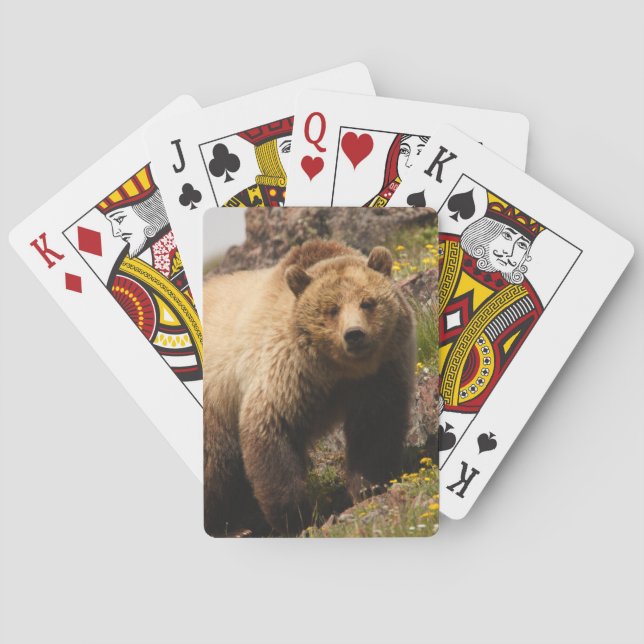 Jeu De Cartes porter (dos)