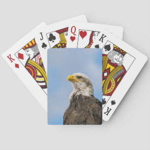 Jeu De Cartes Portrait d'aigle américain dans la faune