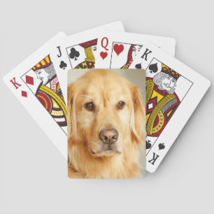Jeu De Cartes Portrait de Golden Retriever