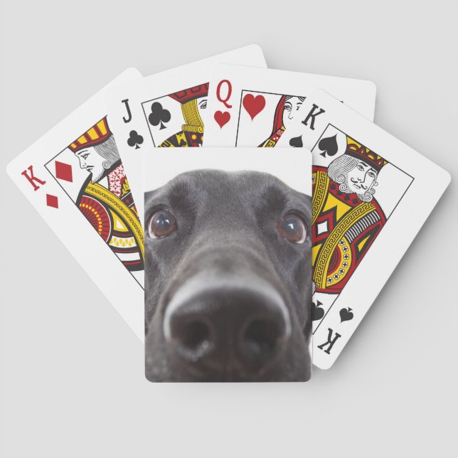 Jeu De Cartes Portrait de la collection Black Labrador (dos)