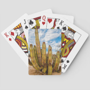 Jeu De Cartes Portrait de Old Man Cactus, Mexique