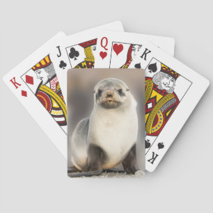 Jeu De Cartes Portrait de Seal Pup sur la plage