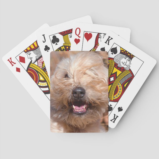 Jeu De Cartes Portrait de Terrier roux à revêtement souple (dos)