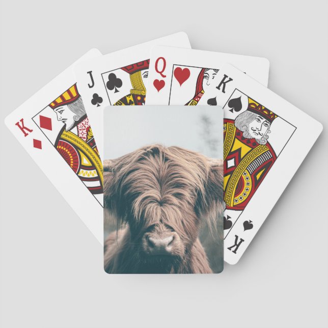 Jeu De Cartes Portrait de vache Highland (dos)