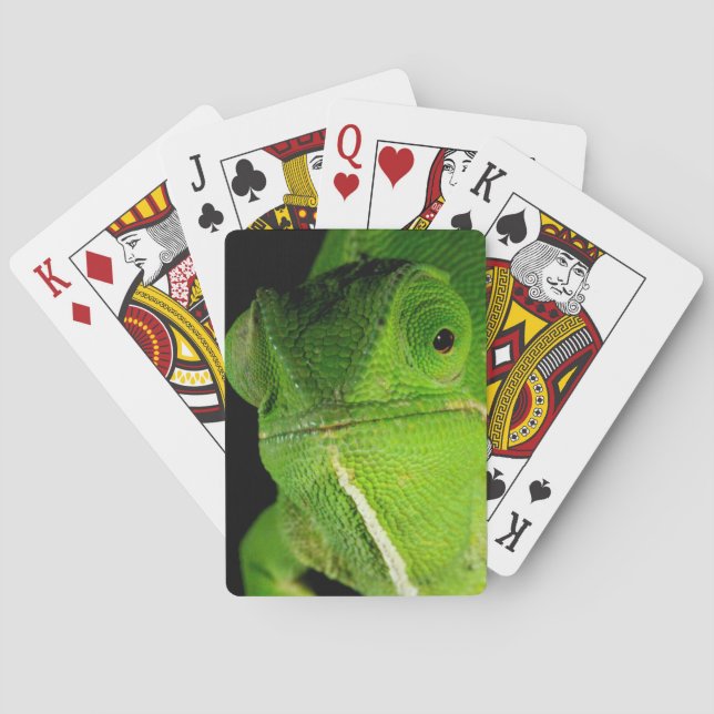 Jeu De Cartes Portrait Du Chameleon À Cou-Volant (dos)