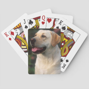 Jeu De Cartes Portrait du Labrador Retriever, Hilton