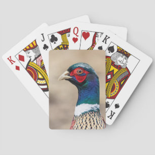 Jeu De Cartes Portrait d'un faisan