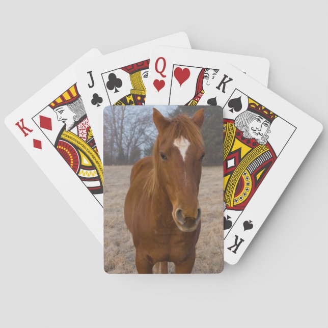 Jeu De Cartes Pose de cheval (dos)