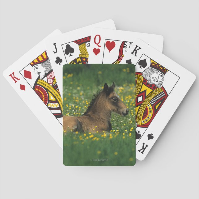 Jeu De Cartes Poulain fixant en fleurs (dos)