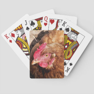 JEU DE CARTES POULET CUIT