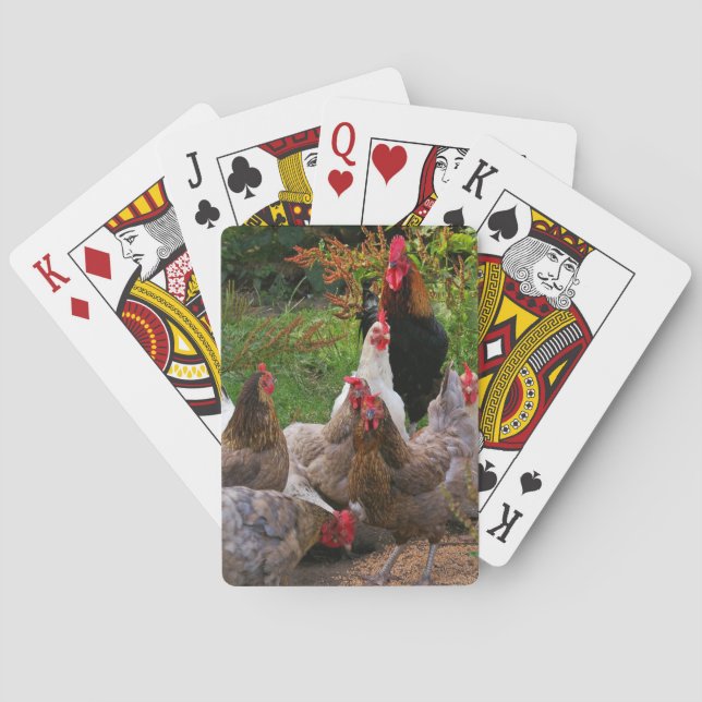 Jeu De Cartes Poulets de basse cour et cartes de jeu drôles de (dos)
