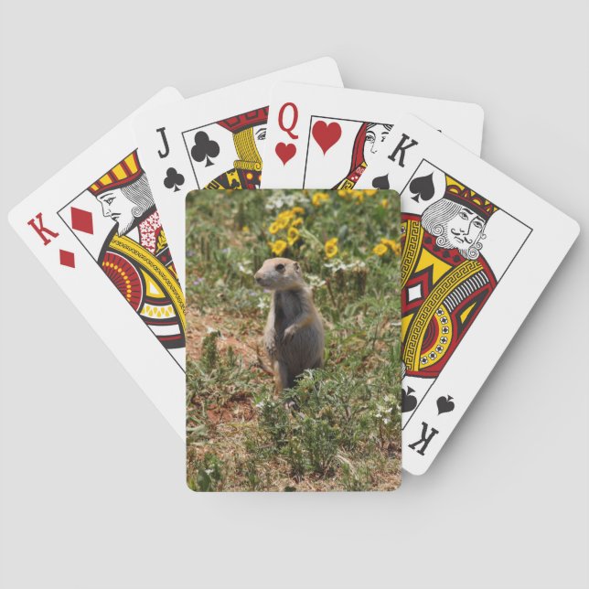 Jeu De Cartes Prairie Dog (dos)
