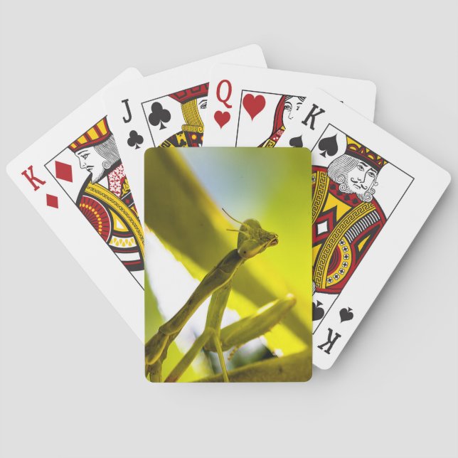 Jeu De Cartes Prier Mantis Jouer aux cartes (dos)