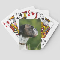Profil de chien de boxe