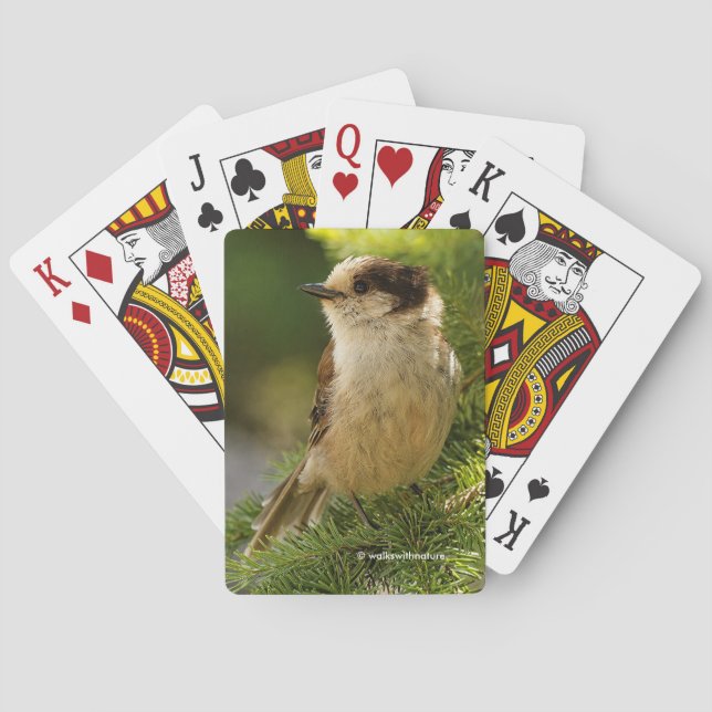 Jeu De Cartes Profil d'un petit bonbon gris gris (dos)