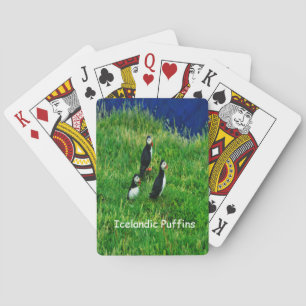 Jeu De Cartes Puffins islandais en été