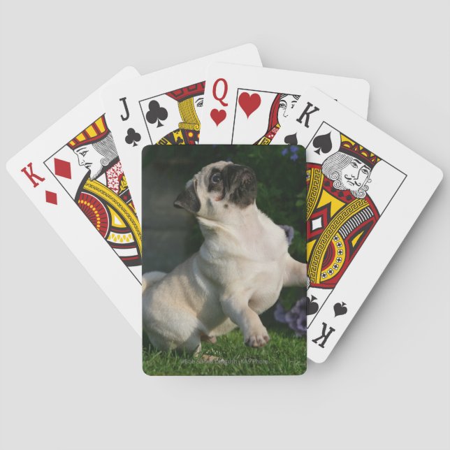 Jeu De Cartes Puppy (dos)